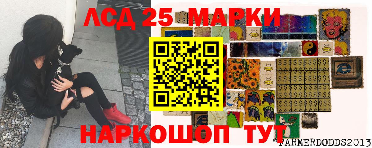 Наркотические марки 1500мкг  Наркотические марки 1500мкг  Вход с VPN  Свободный 