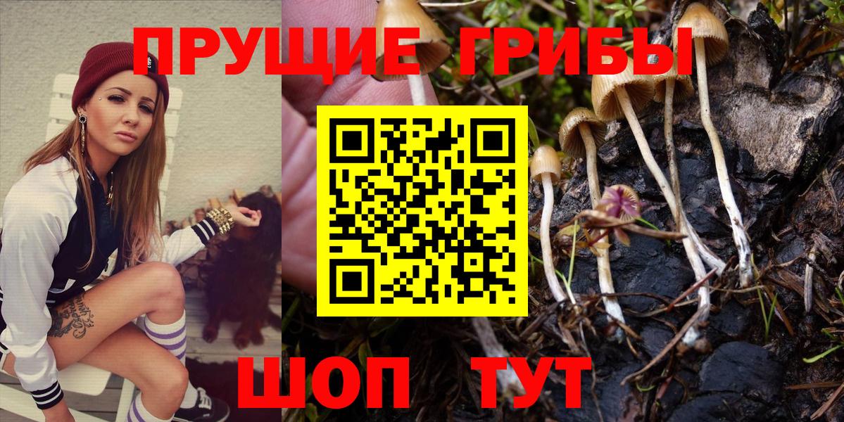 Свободный  Псилоцибиновые грибы MAGIC MUSHROOMS  Вход с VPN 